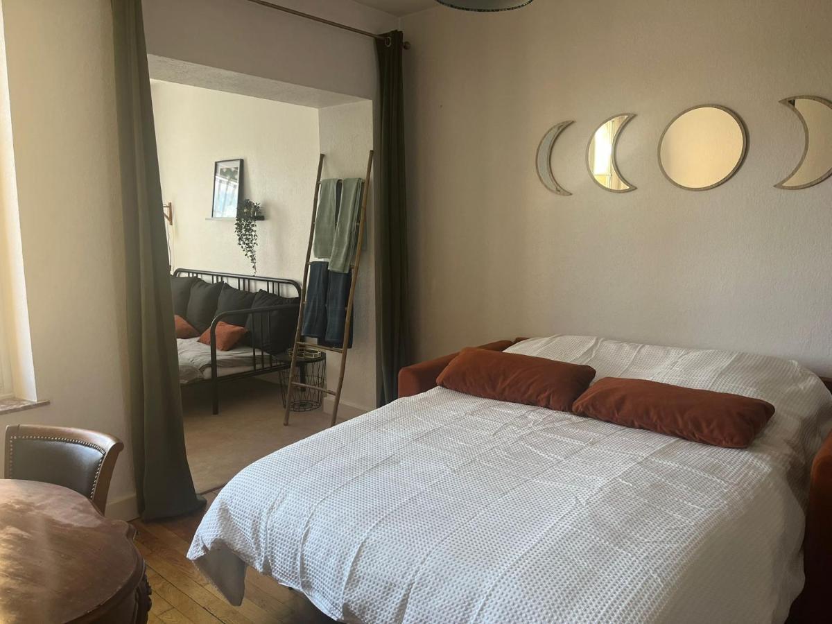 Frida- Thermal A 2 Min- 10 Pers - Chez Julie Appartement Nancy
